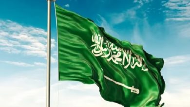 صورة المملكة ترحب بقرار مجلس الأمن باعتماد هدنة إنسانية في غزة