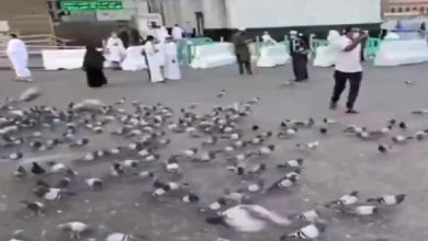 صورة إلقاء الأطعمة على الأرصفة بشكل عشوائي مخالفة ويترتب عليها غرامة