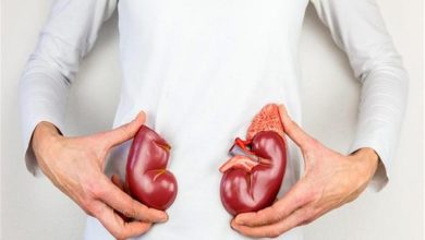صورة كيف تقي كليتيك من أمراض فتاكة؟.. الحل في 7 أطعمة