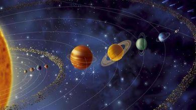 صورة النحس هيبعد عنهم.. 4 أبراج الأكثر سعادة في الأسبوع الأول من 2024