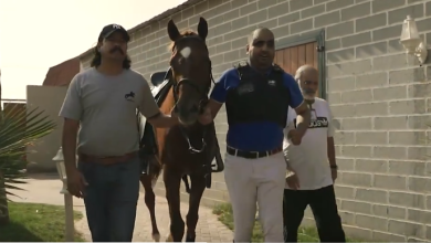 صورة الفارس الكفيف بدر الشراري.. قصة تحد بطلها المستحيل