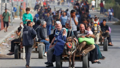 صورة الأونروا: 80 ألف فلسطيني نزحوا من رفح