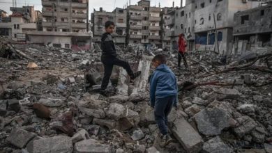صورة إسرائيل تقتل وتصيب 80 ألف فلسطيني في غزة  أخبار السعودية