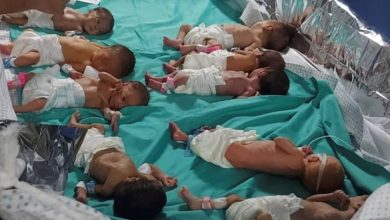 صورة في فضيحة جديدة.. مرصد حقوقي: إسرائيل تختطف أطفال غزة الرضع  أخبار السعودية