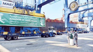 صورة الباخرة الخامسة تبحر إلى بورسعيد.. والطائرة الـ38 تصل العريش  أخبار السعودية