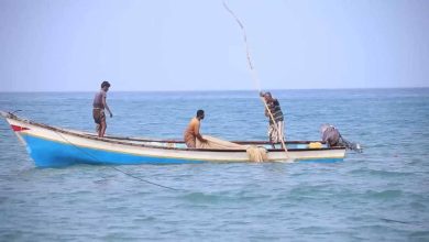 صورة وسط مخاوف من انهيار القطاع السمكي.. مقتل 8 صيادين يمنيين بالبحر الأحمر  أخبار السعودية