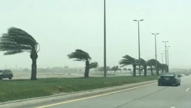 صورة مركز الأرصاد ينبه من رياح شديدة على منطقةالمدينة المنورة
