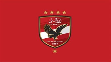 صورة “على متن طائرة خاصة”.. مصدر يكشف لـ”مصراوي” موعد سفر الأهلي إلى الجزائر