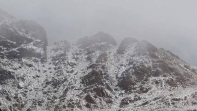 صورة الأمطار والثلوج تتمازج على سفوح جبال اللوز  أخبار السعودية