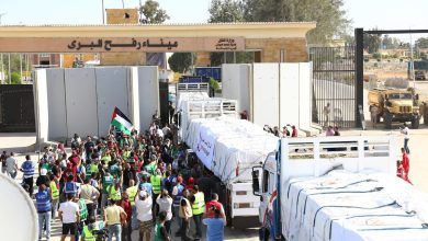 صورة مصر: إذا كان لدى أي طرف عربي فكرة لإدخال المساعدات عنوة إلى غزة فليتقدم بها للجامعة العربية
