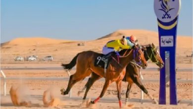 صورة ميدان الفروسية بالمدينة المنورة يقيم الحفل الحادي عشر لسباقات الخيل.. غداً