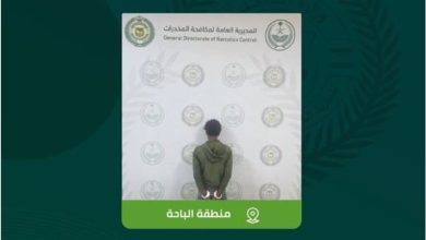 صورة مكافحة المخدرات تقبض على مخالف في الباحة لترويجه مادتي الحشيش والإمفيتامين المخدرتين
