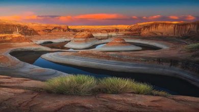 صورة 20 صورة رائعة من عالمنا.. اللقطات الفائزة بمسابقة refocus العالمية