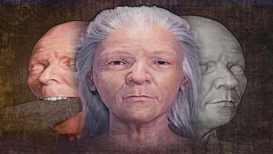 صورة بالصور.. إعادة بناء وجه مصاصة دماء من القرن السادس عشر