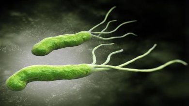 صورة 3 أعراض لجرثومة المعدة تظهر أثناء تناول الأكل