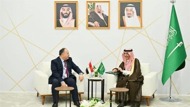 صورة وزير المالية يدعو السعوديين للاستثمار فى مصر