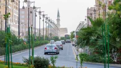 صورة المدينة المنورة تتقدم 11 مرتبة عالمياً في مؤشر IMD للمدن الذكية 2024  أخبار السعودية