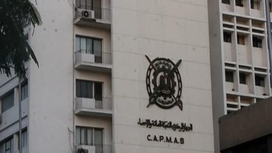 صورة الإحصاء: 36.5% زيادة في صادرات مصر من الأقطان خلال 2023
