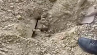 صورة فيديو صادم.. دفن حيا وبقى لمدة 4 أيام في القبر – لن تتوقع ما حدث له