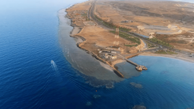 صورة شاطئ “زاعم” شمال الوجه.. أيقونة الجمال على سواحل تبوك