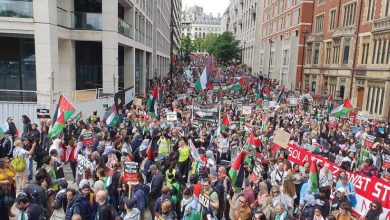صورة مظاهرات مؤيدة لفلسطين.. والاتحاد الأوروبي يندد بمجزرة النصيرات  أخبار السعودية