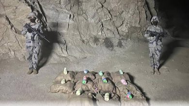 صورة «حرس الحدود» بجازان يحبط تهريب 225 كيلوجراماً من نبات القات  أخبار السعودية