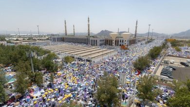 صورة «الإحصاء»: 1,833,164 حاجًّا وحاجّة إجمالي ضيوف الرحمن هذا العام  أخبار السعودية