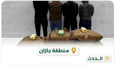 صورة القبض على 4 مخالفين بجازان لتهريبهم 75 كيلوجرامًا من نبات القات المخدر