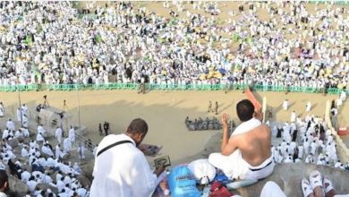 صورة باحث يوضح تطور أعداد الحجاج على مدار التاريخ ومتى بدأت الإحصاءات الرسمية