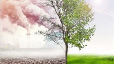 صورة استطلاع مقياس التحول البيئي يُظهر وعي السعوديين بظاهرة الاحترار العالمي