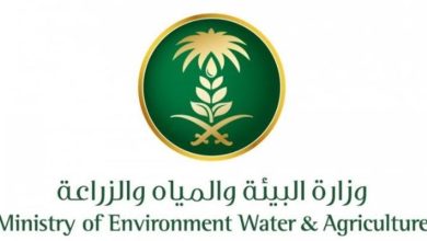 صورة فرع «بيئة الرياض» ينفذ 3918 جولة رقابية على أسواق النفع العام والمسالخ خلال شهر مايو