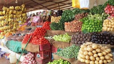 صورة أسعار الخضروات والفاكهة في سوق العبور اليوم الثلاثاء