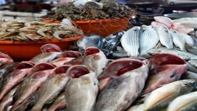 صورة أسعار السمك والمأكولات البحرية اليوم الجمعة في سوق العبور