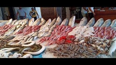صورة ارتفاع البلطي وتراجع الكابوريا.. أسعار السمك اليوم الثلاثاء في سوق العبور