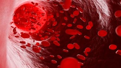 صورة دون أدوية.. 5 خضروات وفواكه تقيك من الأنيميا وفقر الدم