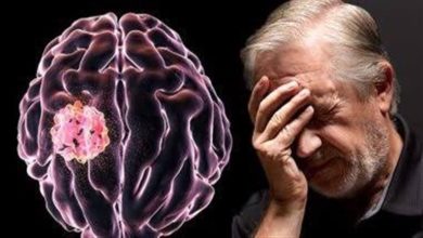 صورة تقوي دماغك.. 5 أطعمة “هتخلي قلبك حديد” وتمنع هذه الأمراض