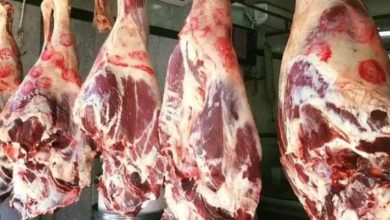 صورة تراجع اللحوم وارتفاع الزيت اليوم الأحد في الأسواق (موقع رسمي)