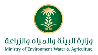 صورة «البيئة»: المملكة تعزز ريادتها في إنتاج التمور بأكثر من 1.6 مليون طن سنويّاً  أخبار السعودية