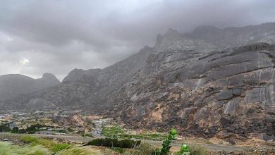 صورة تأثر طقس المملكة بالقبة الحرارية.. «الأرصاد»: 50 درجة مئوية في الشرقية نهاية الأسبوع  أخبار السعودية