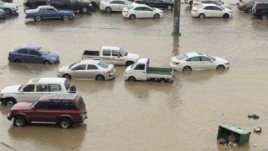 صورة مطالبات بحلول جذرية.. سيول «أم السباع» تحتجز السكان عن منازلهم  أخبار السعودية