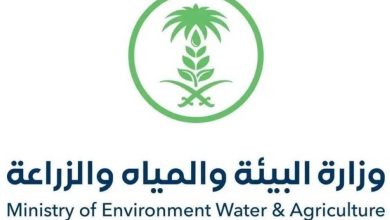 صورة ضبط 6.8 طن من القمح المستخدم بشكل مخالف في صناعة الأعلاف بالرياض  أخبار السعودية