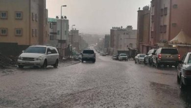 صورة «البيئة»: أمطار في 8 مناطق خلال 24 ساعة و«المدينة المنورة» الأعلى كمية بـ(37.4) ملم  أخبار السعودية