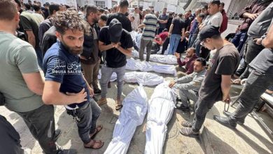 صورة أسماء شهداء جنوبي قطاع غزة اليوم السبت؛ 26 يوليو2025