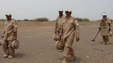 صورة مشروع “مسام” 570 لغمًا من الأراضي اليمنية خلال أسبوع