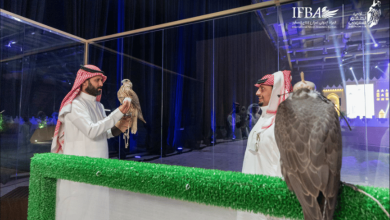 صورة بيع صقرين بـ 241 ألف ريال في الليلة الأخيرة لمنصة المزاد الدولي لمزارع إنتاج الصقور 2024