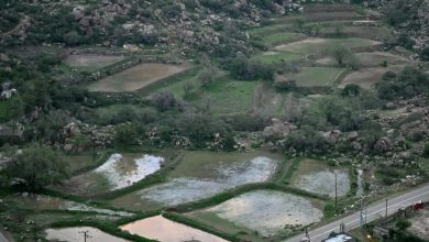 صورة جبل «بركوك».. الزراعة بالطرق التقليدية تعزيزًا للسياحة الريفية