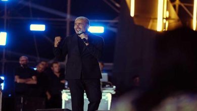 صورة 20 صورة من حفل عمرو دياب بمنطقة الأهرامات