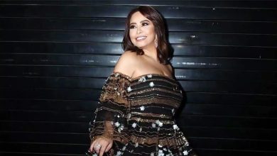 صورة “أنا أسعد واحدة في مصر والوطن العربي”.. شيرين عبد الوهاب توجه رسالة لجمهورها