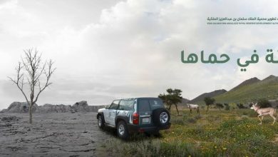 صورة «محمية الملك سلمان» تشدّد على منع الصيد في المحميات التي تقع في نطاقها  أخبار السعودية
