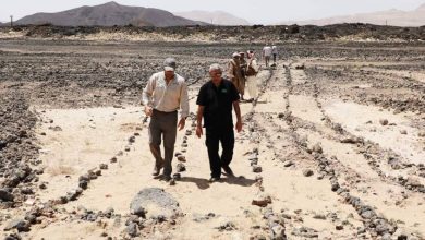 صورة نجاحاته تعيد الأمل لليمنيين.. «مسام» ينتزع 766 لغماً في أسبوع  أخبار السعودية